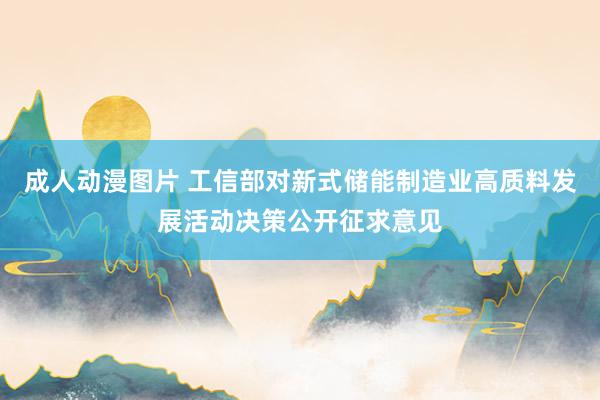 成人动漫图片 工信部对新式储能制造业高质料发展活动决策公开征求意见