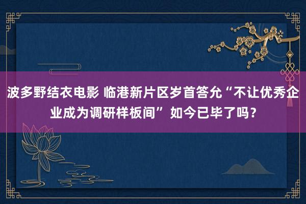 波多野结衣电影 临港新片区岁首答允“不让优秀企业成为调研样板间” 如今已毕了吗？