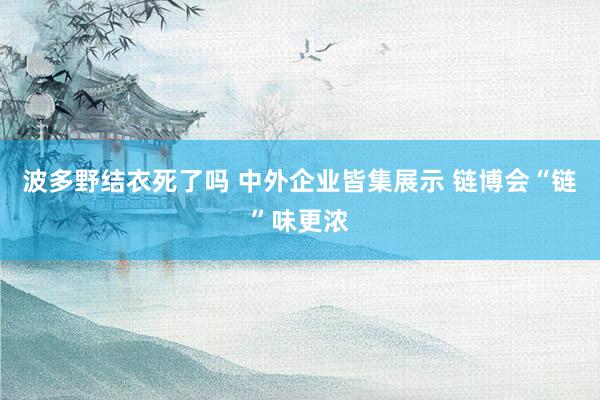 波多野结衣死了吗 中外企业皆集展示 链博会“链”味更浓