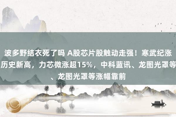 波多野结衣死了吗 A股芯片股触动走强！寒武纪涨超10%创历史新高，力芯微涨超15%，中科蓝讯、龙图光罩等涨幅靠前