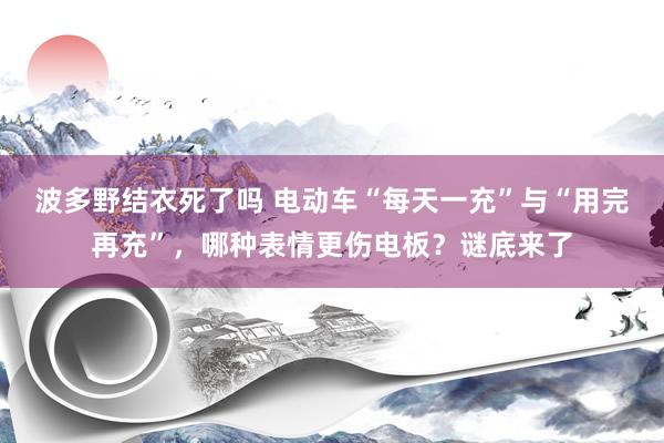 波多野结衣死了吗 电动车“每天一充”与“用完再充”，哪种表情更伤电板？谜底来了