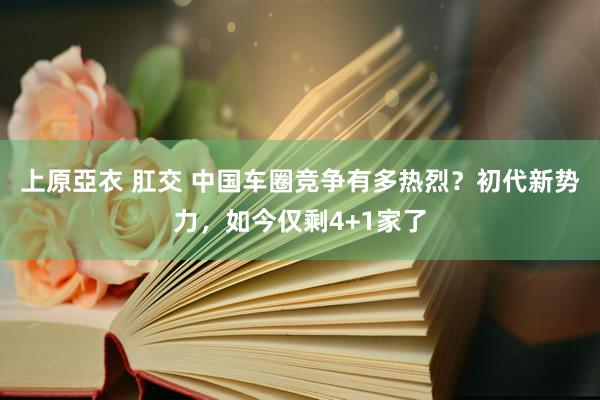 上原亞衣 肛交 中国车圈竞争有多热烈？初代新势力，如今仅剩4+1家了