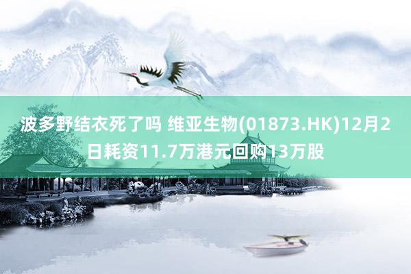 波多野结衣死了吗 维亚生物(01873.HK)12月2日耗资11.7万港元回购13万股