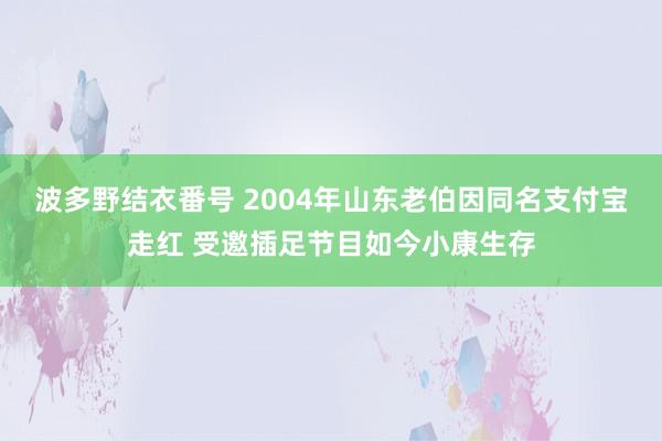 波多野结衣番号 2004年山东老伯因同名支付宝走红 受邀插足节目如今小康生存