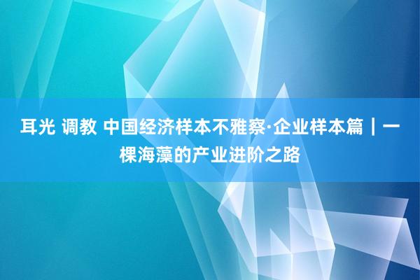 耳光 调教 中国经济样本不雅察·企业样本篇｜一棵海藻的产业进阶之路