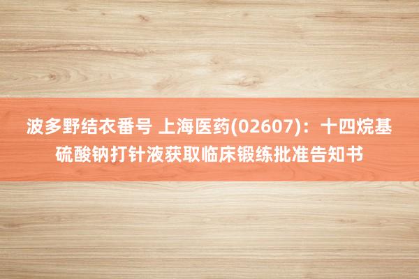 波多野结衣番号 上海医药(02607)：十四烷基硫酸钠打针液获取临床锻练批准告知书