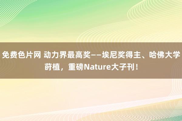 免费色片网 动力界最高奖——埃尼奖得主、哈佛大学莳植，重磅Nature大子刊！