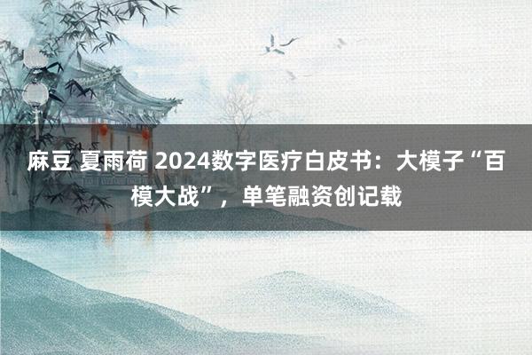 麻豆 夏雨荷 2024数字医疗白皮书：大模子“百模大战”，单笔融资创记载