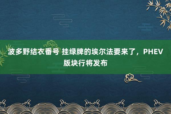 波多野结衣番号 挂绿牌的埃尔法要来了，PHEV版块行将发布