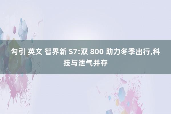 勾引 英文 智界新 S7:双 800 助力冬季出行，科技与泄气并存