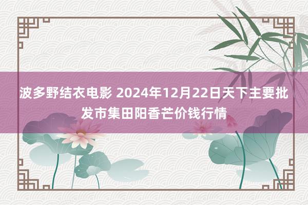 波多野结衣电影 2024年12月22日天下主要批发市集田阳香芒价钱行情