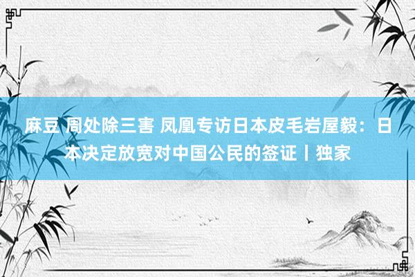 麻豆 周处除三害 凤凰专访日本皮毛岩屋毅：日本决定放宽对中国公民的签证丨独家