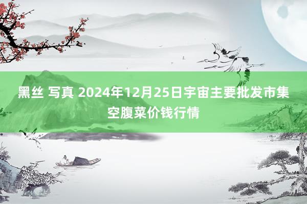 黑丝 写真 2024年12月25日宇宙主要批发市集空腹菜价钱行情