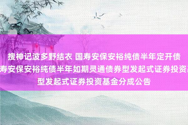 搜神记波多野结衣 国寿安保安裕纯债半年定开债券发起式: 国寿安保安裕纯债半年如期灵通债券型发起式证券投资基金分成公告