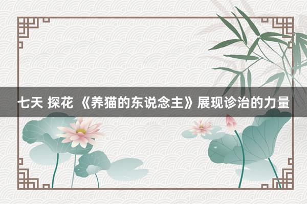 七天 探花 《养猫的东说念主》展现诊治的力量