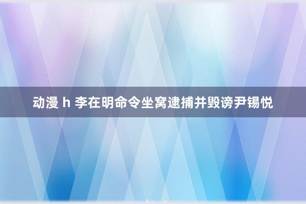 动漫 h 李在明命令坐窝逮捕并毁谤尹锡悦