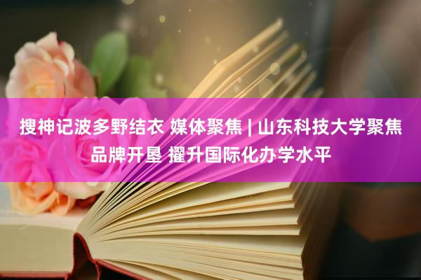 搜神记波多野结衣 媒体聚焦 | 山东科技大学聚焦品牌开垦 擢升国际化办学水平