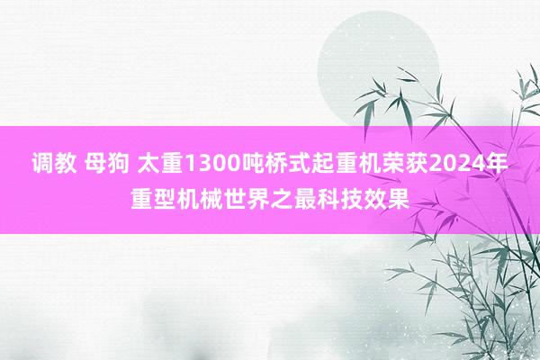 调教 母狗 太重1300吨桥式起重机荣获2024年重型机械世界之最科技效果