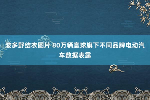 波多野结衣图片 80万辆寰球旗下不同品牌电动汽车数据表露