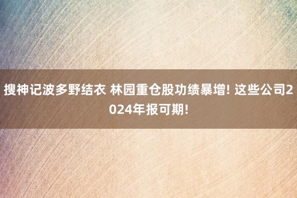 搜神记波多野结衣 林园重仓股功绩暴增! 这些公司2024年报可期!