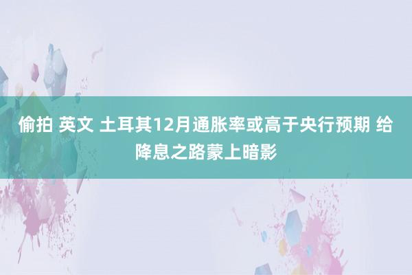 偷拍 英文 土耳其12月通胀率或高于央行预期 给降息之路蒙上暗影