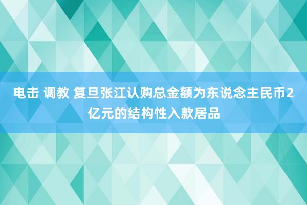 电击 调教 复旦张江认购总金额为东说念主民币2亿元的结构性入款居品