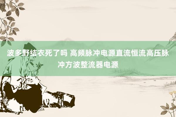 波多野结衣死了吗 高频脉冲电源直流恒流高压脉冲方波整流器电源