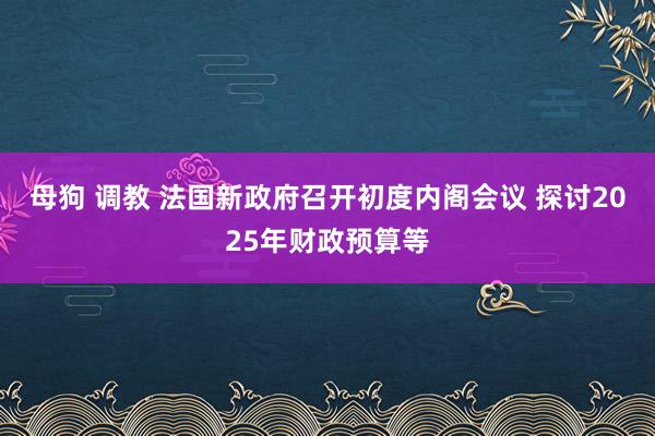 母狗 调教 法国新政府召开初度内阁会议 探讨2025年财政预算等