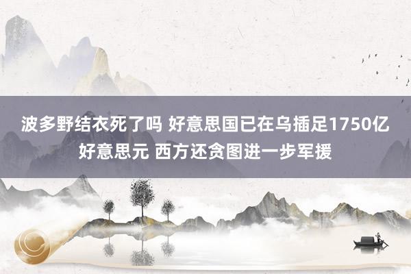 波多野结衣死了吗 好意思国已在乌插足1750亿好意思元 西方还贪图进一步军援