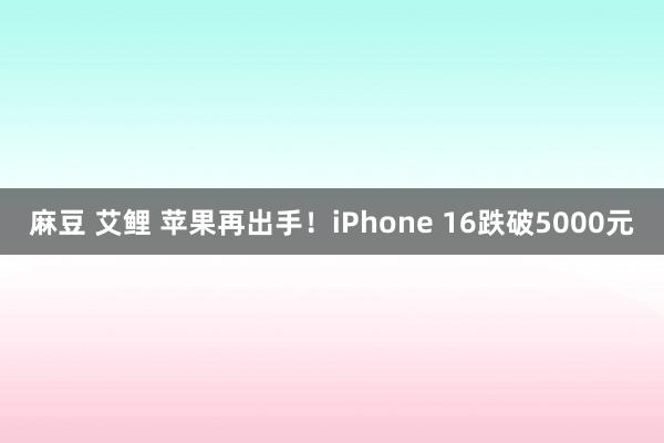 麻豆 艾鲤 苹果再出手！iPhone 16跌破5000元