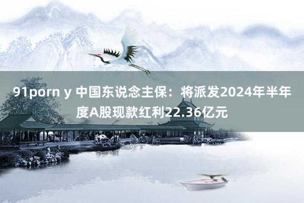 91porn y 中国东说念主保：将派发2024年半年度A股现款红利22.36亿元