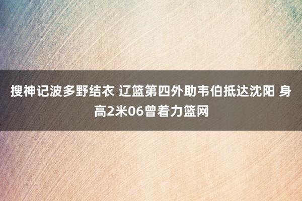 搜神记波多野结衣 辽篮第四外助韦伯抵达沈阳 身高2米06曾着力篮网